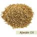 Salvia AJWAIN Oil 100% Natural Pure Undiluted Uncut Essential Oil (15ml) Ajwain 15 ml (Pack of 1) - Buy Online on GoSupps.com