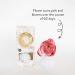 Bridgewater Sweet Grace Diffuser 236ml - Long-Lasting Fragrance | International Shipping Available - Buy Online on GoSupps.com