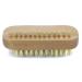 Boar Bristle Hand and Nail Brush with Wood Handle for Manicure and Pedicure - 3-3/4-Inches - Buy Online on GoSupps.com