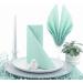 50 APARTina Mint Green Airlaid Napkins - Fabric-Like 40x40 cm | Premium Quality for Any Occasion - Buy Online on GoSupps.com