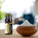 Chamomile Essential Oil 10ml | Perfect for Diffuser Humidifier Massage Bath & SPA - International Shipping - Buy Online on GoSupps.com