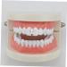 Shiny Hip-Hop Rapper Mouth Cap | Single Copper Hollow Teeth for Cosplay Party | International Shipping Available - Buy Online on GoSupps.com