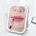 Holzsammlung 100 Pcs/Set Lip Brushes Disposable Lip Brush Lipgloss Soft Liner Brushes Lipstick Concealer Brushes Double Head Travel Makeup Lip Applicator Wands Cosmetic Tool Kits #13 - Buy Online on GoSupps.com