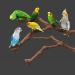 Natural Wood Bird Cage Platforms - Ockyunoo 2 Piece Set | Perfect Bird Seat Rods & Bubble Rods for Nymphensittich - Buy Online on GoSupps.com