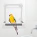 Portable Bird Parrot Stand Shower Perch Toy with 4 Suction Cups - Buy Online on GoSupps.com