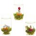 LWXLJMJZC-12 Variety Flavors of Blooming Tea - Flowering Tea-Green Tea with Jasmine Flowers -All Tea Balls Individually Sealed - Buy Online on GoSupps.com