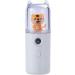 Cute Nano Mist Facial Sprayer Beauty Instrument USB Humidifier Rechargeable Face Nebulizer Beauty Tool Moisturizing Steamer Tiger White Free Size - Buy Online on GoSupps.com