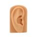 Silicone Ear Model for Hearing Amplifier Display - Flexible & Waterproof Simulation ear Mould for Science Education - Buy Online on GoSupps.com