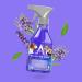 Astonish Morning Dew Disinfectant Spray 550ml - Ready to Use | Pack of 1 - Buy Online on GoSupps.com