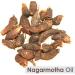 Crysalis Nagarmotha Oil 30ml | 100% Pure & Natural Cyperus Scariosus Essential Oil | Therapeutic Grade for Healthy Skin & Hair | Organic & Undiluted - Buy Online on GoSupps.com