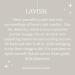 LAVISH | Inspired by TF TBACO VANILLE | Pheromone Perfume Cologne for Men and Women | Extrait De Parfum | Long Lasting Dupe Clone Essential Oil Fragrance | Perfume De Hombre Mujer | (30 ml / 1 Fl Oz) 1 Fl Oz (Pack of 1) - Buy Online on GoSupps.com