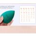 Premium Makeup Sponges for Dry & Wet Use - Foundation Cream & Powder Applicator - Drop-Shaped Puff with Storage Box - Available in 2 Colors - Buy Online on GoSupps.com