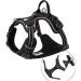 Truelove No Pull Dog Harness - Adjustable Reflective Pet Vest with Soft Padding & Handle - TLH56512M Black - Buy Online on GoSupps.com