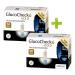 GlucoCheck GOLD Starter Set (mg/dl) - 110 Blood Glucose Test Strips | Shop Now for Accurate Diabetes Monitoring - Buy Online on GoSupps.com