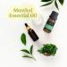 MABUA Menthol Breathe Essential Oil Blend 120ml - Pure Undiluted Therapeutic Grade Oil for Diffuser - Natural Air Freshener with Dropper - Buy Online on GoSupps.com
