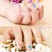 Dried Flowers for Nail Art - Mini Real Natural Five Petal Flower Sticker Decals - Buy Online on GoSupps.com