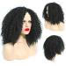 Bestland Afro Wig | Long Wavy Curly Synthetic Hair for Black Women | Heat Resistant Fiber Wigs - Buy Online on GoSupps.com