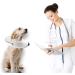 Ducomi Inflatable Hinge for Dogs & Cats - Post-Operation Relaxation Freedom of Movement Scratch & Bite Prevention - XL Gray - Buy Online on GoSupps.com