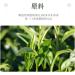 2021 Chen Sheng Hao Meng Zhen Raw Pu-erh Tea Cake 357g from Yunnan - Buy Online on GoSupps.com