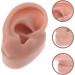 Buy Minkissy Silicone Human Right Ear Model | Fake Ear for Piercing & Acupuncture Simulation | 6.5x3.5 cm - Ideal for Body Part Ads - Buy Online on GoSupps.com