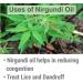 Nirgundi (Vitex negundo) 100% Natural Essential Oil - Pure Undiluted Cold Pressed Aromatherapy Premium Oil - Therapeutic Grade - 15 ML with Dropper Nirgundi 15 ML with dropper - Buy Online on GoSupps.com