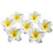 minkissy 100Pcs 6CM Hawaiian Plumeria Foam Artificial Frangipani for DIY Hair Hat Wedding Beach Party Decoration (White)