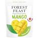 FOREST FEAST Exotic Dried Natural Mango 650g | Snack Size Pieces of Dried Fruit Mango with No Added Sugar & High in Fibre | Ready to Eat Snack Vegan Option