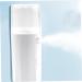 Ipetboom Mini Mister Electric 1pc Hydrating Instrument Face Steamer White Cool Abs Cloth Steamers - Buy Online on GoSupps.com