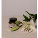 Herbo Body Balm - Organic Shea Butter & Hemp Moisturizer | Cruelty-Free Paraben-Free Cream for All Skin Types - 1.7oz - Buy Online on GoSupps.com