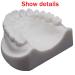 Standard Teeth Model for Dental Practice - Detachable Oral Soft Gum Tooth Extraction Tool | Best Teaching Aid for Dentistry - Buy Online on GoSupps.com