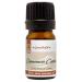 GreenHealth Cinnamon Cassia 1/6 fl oz (5 ml) Glass Bottle 100% Pure Essential Oil