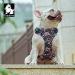 Shop Winhyepet Truelove No-Pull Dog Harness - Breathable Cotton Reflective & Adjustable for Small to Medium Cats & Dogs - TLH5655 S Navy Blazer - Buy Online on GoSupps.com