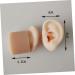 Ciieeo Silicone Ear Picking Tunnels - Teaching & Practice Tool for Realistic Ear Simulation - Buy Online on GoSupps.com