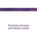 Innate Response C-Complete Powder 2.9 oz | Vitamin C Supplement for Immune Support - Buy Online on GoSupps.com