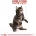 Royal Canin Maine Coon Kitten Dry Cat Food 4 x 400g - Buy Online on GoSupps.com