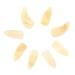 POPETPOP 8pcs Guzheng nails acoustic guitar pick ox horn pick Guzheng Nail Covers mandolin picks Guzheng Finger Picks ukulele pick Fingertip Covers finger guard horns trumpet child 2.7X1.2X0.1CM Yellow