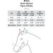 HORZE Emelia Silicone Riding Pants for Women - Black Size 26 (C) - Stylish & Durable Equestrian Pants for International Shipping - Buy Online on GoSupps.com