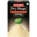 veenas Everest Dry Mango Powder | 100G | Amchur Powder |Dry Mango Powder | Amchoor Powder | Khatai Powder | Cooking And Seasonings | Vegan | Indian Origin (Pack of 2) Dry Mango Power Pack 2 - Buy Online on GoSupps.com