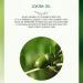 VENZEN Jojoba Oil 100ml - Moisturizing & Nourishing Simmondsia Chinensis for Soothing Skin | International Shipping Available - Buy Online on GoSupps.com