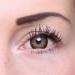 Matlens EOS Colored Contact Lenses - Brown Circle Lenses for Big Eyes | 2 Lenses 1 Case 50ml Care | Vision Strength -300 to -30 8.8mm & 14.5mm - Buy Online on GoSupps.com