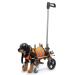 Adjustable 4 Wheel Dog Wheelchair Aluminum Alloy Shock Absorbing Dog Wheelchair Cart Portable Pet Rehabilitation Wheelchair with Handles Rehabilitation Aid for Dogs (CJC08 Cjc08 Coffee