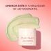 Peach & Lily - Matcha Pudding Antioxidant Cream (1.69 fl oz) - Face Moisturizer Cream - Protect & Hydrate Skin - Green Tea Vitamin B3 Niacinamide - Self Care - Vegan Cruelty Free - Korean Skincare - Buy Online on GoSupps.com