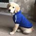 Ducomi Hood Dogs Sweatshirt - 100% Cotton Dog Sweater for All Breeds & Sizes - Warm Monochrome Coat from XS to 9XL (Blue XS) - Buy Online on GoSupps.com