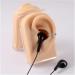 3 Pc Silicone Ear Model - Simulation Artificial Ear Model - for Hearing Aids Wearing & Ear Canal Products Display Right - Buy Online on GoSupps.com