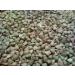 WIDU Organic Buckwheat for Baking - 12.5 KG Grain Bag | Premium Quality Gluten-Free Flour Alternative - Buy Online on GoSupps.com