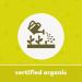 Organic Pitted Prunes 2.2 lb - Non-GMO, Vegan, Gluten-Free | Yupik (Packaging May Vary) - Buy Online on GoSupps.com