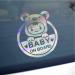 Baby on Board Sticker 2 Pack - Vinyl Magnetic Car Signs | UV Protected & Waterproof - Perfect for International Shipping - Buy Online on GoSupps.com