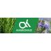 Organic Rosemary Oil for Hair Growth & Skin Care | 2.02 Fl Oz - Improve Scalp Health Minimize Gray Hair Fight Dandruff - International Shipping Available - Buy Online on GoSupps.com