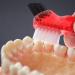 Healeved 3pcs Denture Cleaning Brushes - Ergonomic Handle, Portable Toothbrush for False Teeth - Denture Brush for Effective Cleaning - Buy Online on GoSupps.com