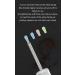 2023 Ear Cleaner with Camera - 1920P HD Ear Wax Removal Tool | Soft Silicone Ear Spoon 6 LED Lights Compatible with iPhone & Android - Black/White - Buy Online on GoSupps.com